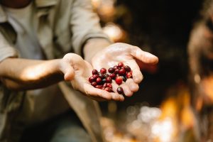 Come conservare correttamente il caffè